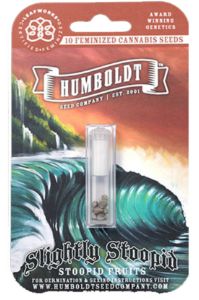 HSC Stoopid Fruits (F) 10 Pack