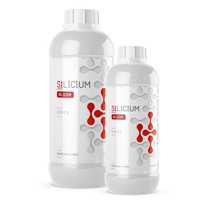 New Millenium Silicium Bloom 100ML