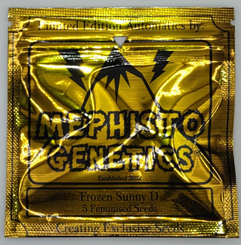 Mephisto Frozen Sunny-D - 5 pack (Fem)