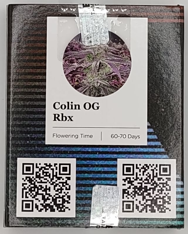 COLIN OG RBX (F) 5 Pack​ GRATEFUL DAWG* x (GRATEFUL DAWG X THE WHITE)