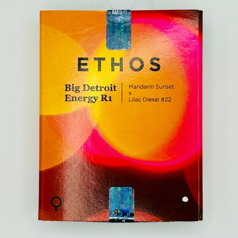 Ethos Big Detroit Energy R1 (F) 5 Pack
