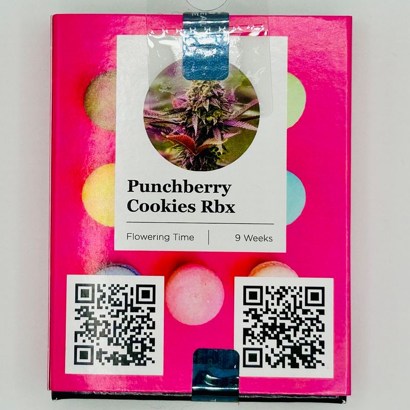 Ethos Punchberry Cookies Rbx (F,ID) 5 Pack