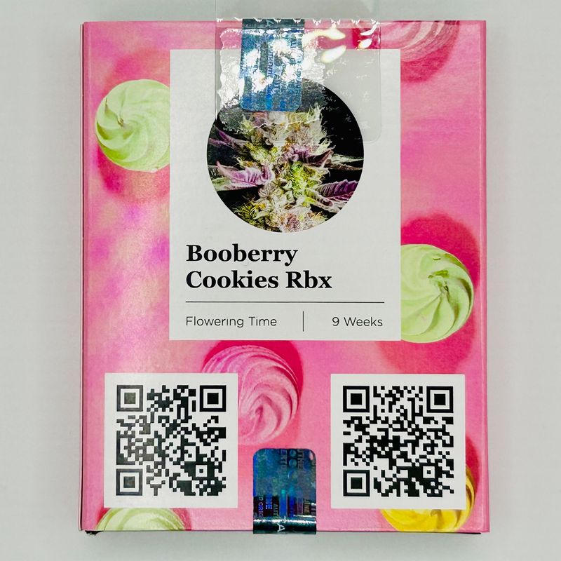 Ethos BooBerry Cookies Rbx (F) 5 Pack
