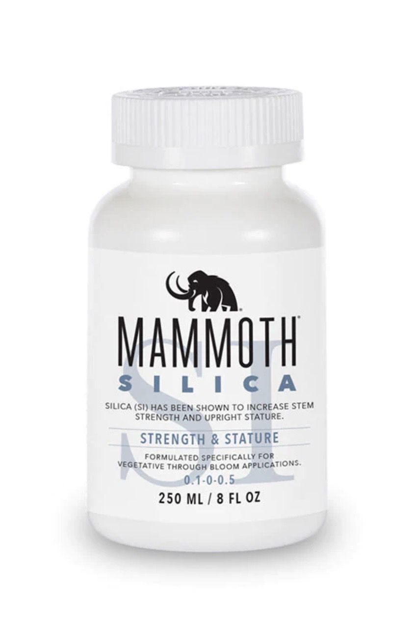 Mammoth Silica 250ml