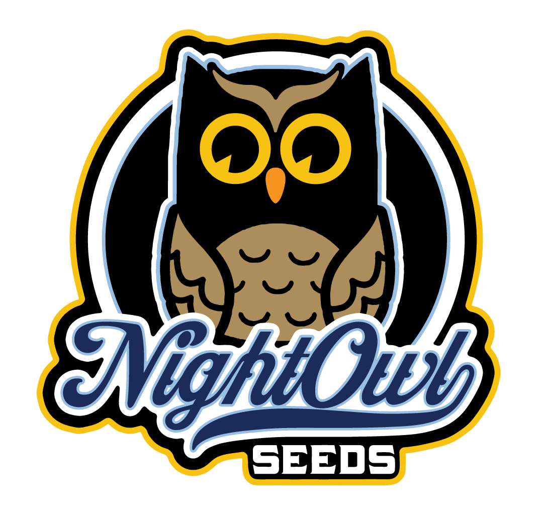 NightOwl Americhem Dream Auto 3 Pack (F)