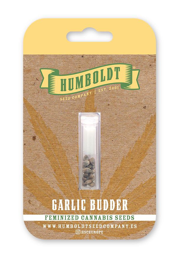 HSC Garlic Budder (F) 10 Pack