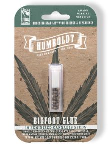 HSC Bigfoot Glue (F) 5 Pack HSC Bigfoot Glue (F) 5 Pack