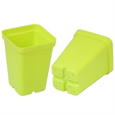 Sunpack Square Pot Lime Green 2.5in