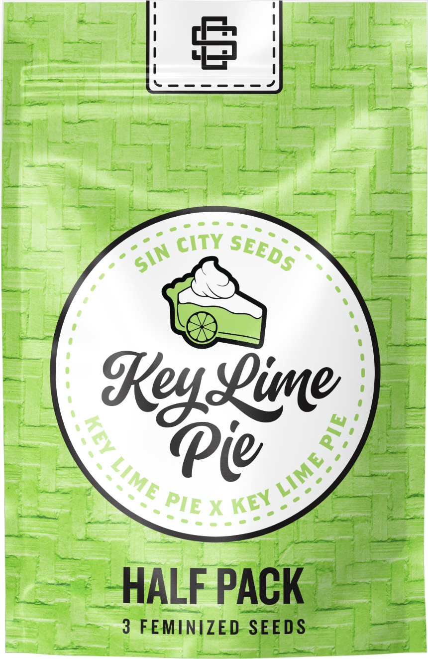 Sin City Seeds Key Lime Pie S1 (F,HY) 3 Pack
