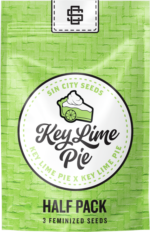 Sin City Seeds Key Lime Pie S1 (F,HY) 3 Pack