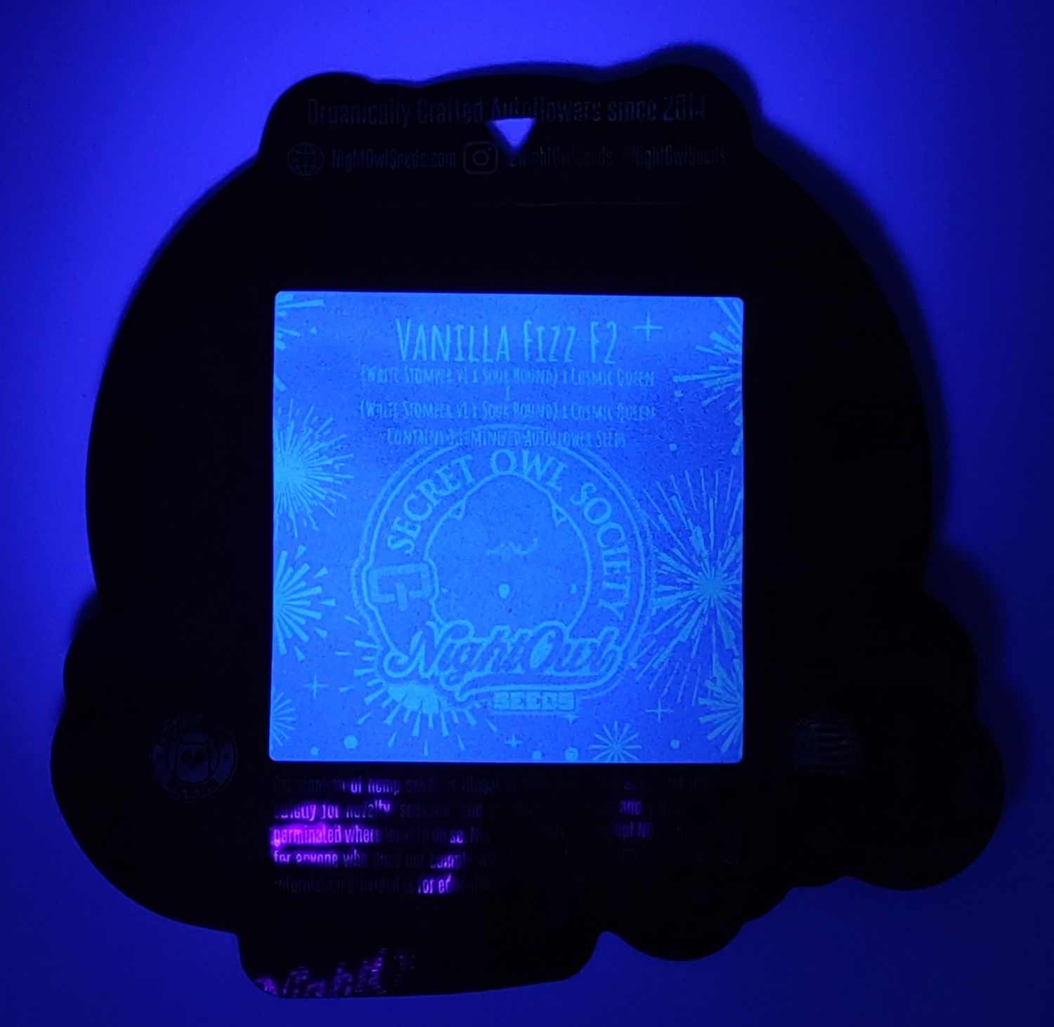 NightOwl Vanilla Fizz F2 AUTO 3 Pack (F)