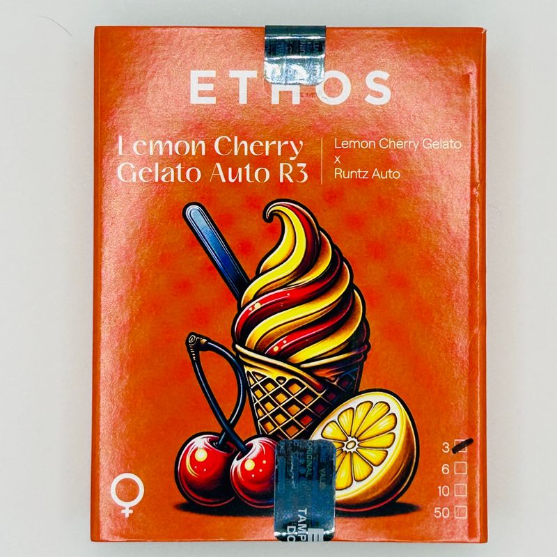 LEMON CHERRY GELATO AUTO R3 3 pack- LEMON CHERRY GELATO x RUNTZ AUTO