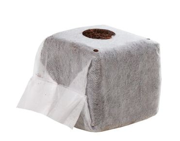 GROW!T Commercial Coco, RapidRIZE Block 4&quot;x4&quot;x3&quot;