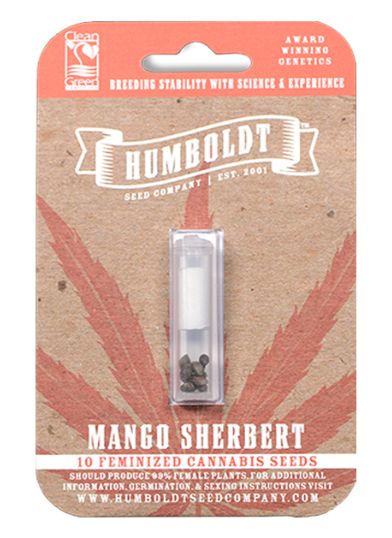 HSC Mango Sherbert (F) 10 Pack