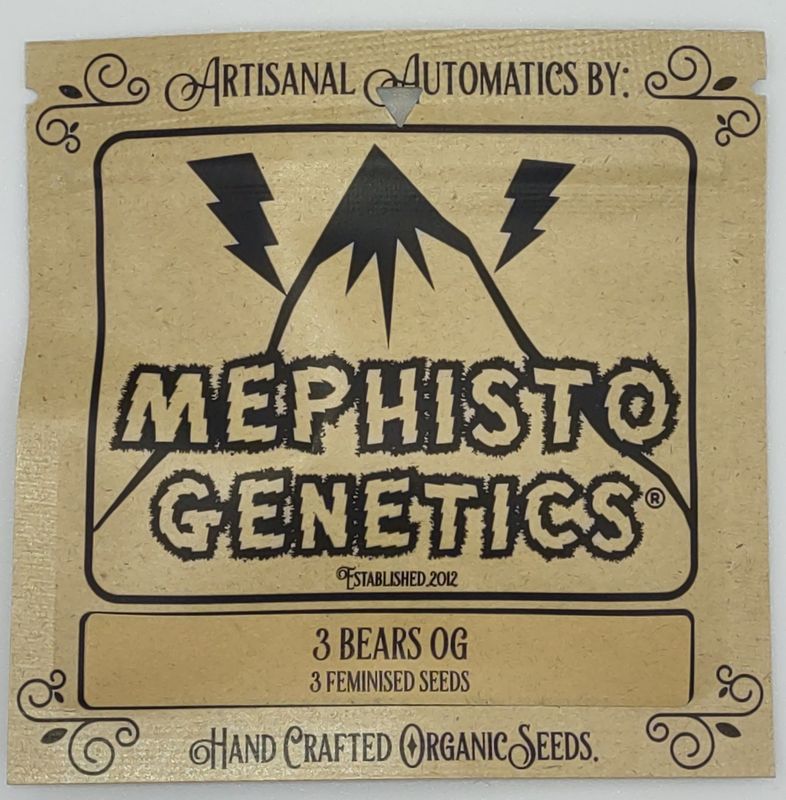 Mephisto 3 Bears OG (FEM,ID) 3pk