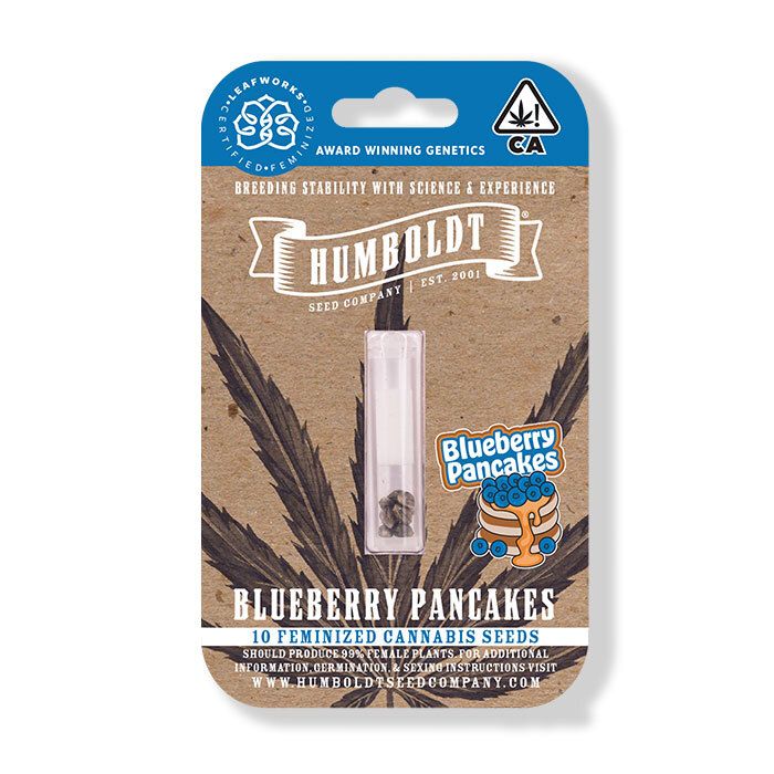 HSC Blueberry Pancakes (F) 5 Pack