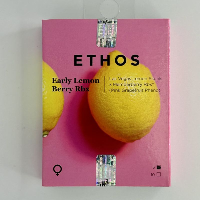 EARLY LEMON BERRY RBX LAS VEGAS LEMON SKUNK x MEMBER BERRY RBX*