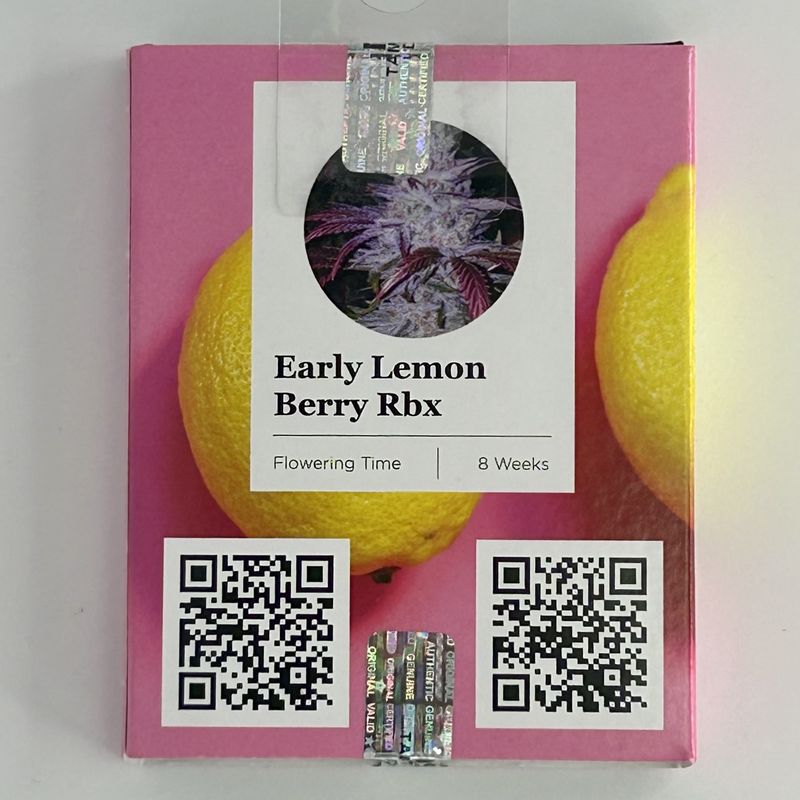 EARLY LEMON BERRY RBX LAS VEGAS LEMON SKUNK x MEMBER BERRY RBX*