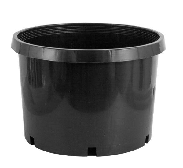Nursery Pot, 10 Gallon