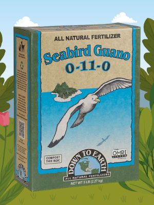 DTE ISLAND PHOSPHATE (SEABIRD GUANO) 0-11-0 4LB *OMRI*