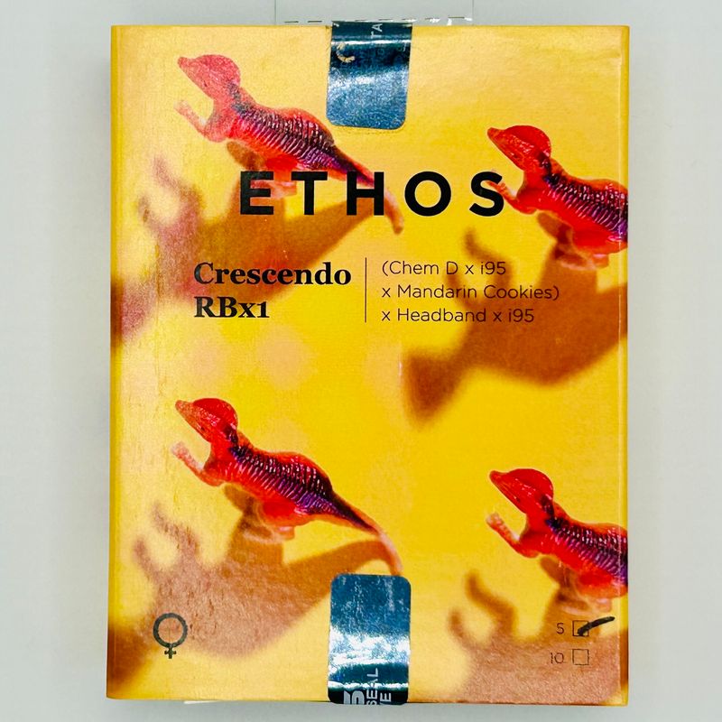 CRESCENDO RBX1 (CHEM D X I95 X MANDARIN COOKIES) x HEADBAND X I95 5 pack