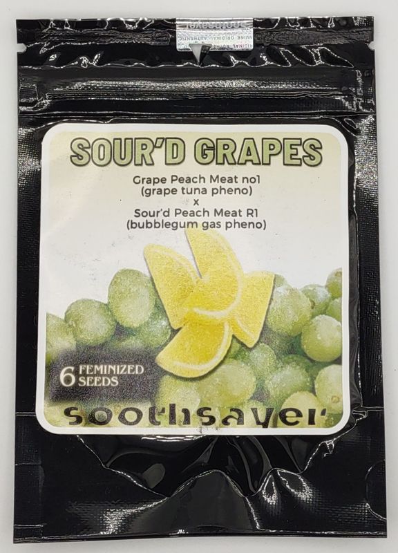 Soothsayer Seeds Sour’d Grapes (F,ID) 6 pack