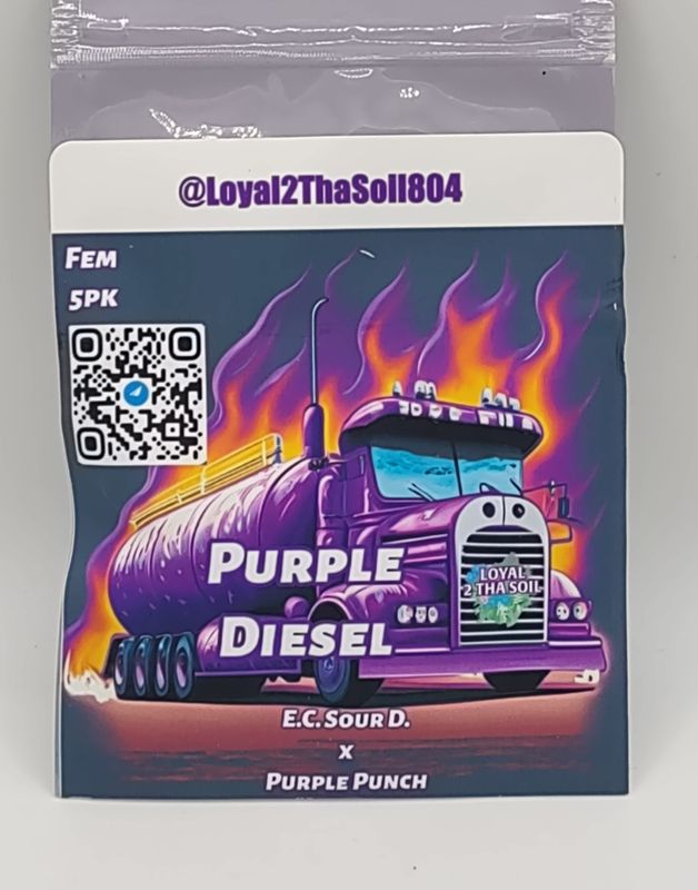 Loyal2ThaSoil Purple Diesel (F,ID) 5pk