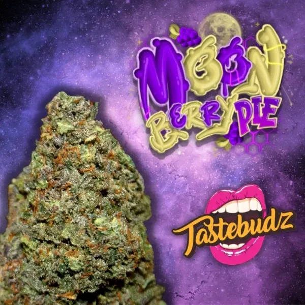 Tastebudz Autoflower Mix 2 (Moonberry Pie, Pink Apple Soda, Sticky Mango, Yuzu Sour) 12pk