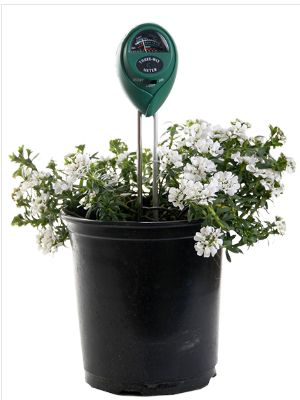 Active Air 2-Way Moisture/pH Meter
