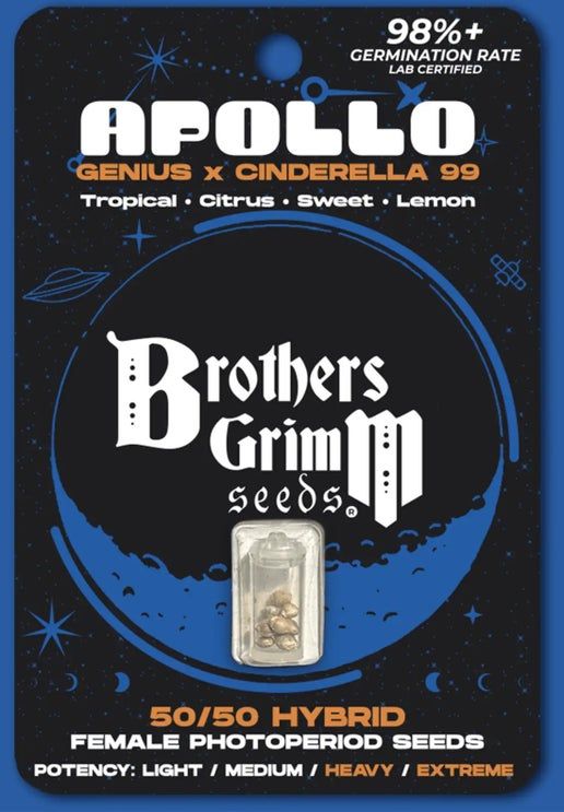 Brothers Grimm Apollo (F) - 3 pack (1)