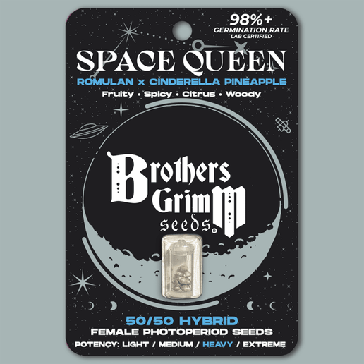 Brothers Grimm Space Queen (F) - 3 pack (1)