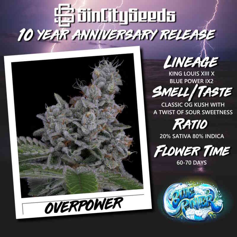 Sin City Seeds Overpower (F) 3 Pack