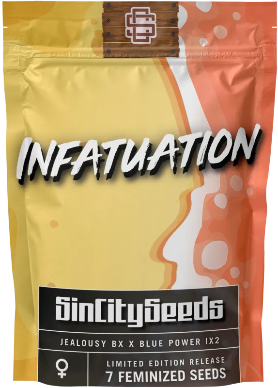 Sin City Seeds Infatuation (F) 3 Pack