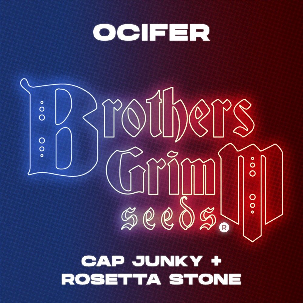 Brothers Grimm Seeds - Ocifer (F) Photoperiod - 9 Pack