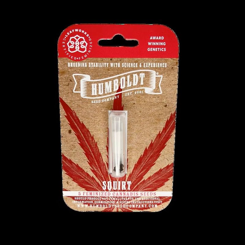 HSC Squirt (F) 5 Pack