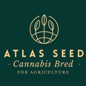 Atlas Seed