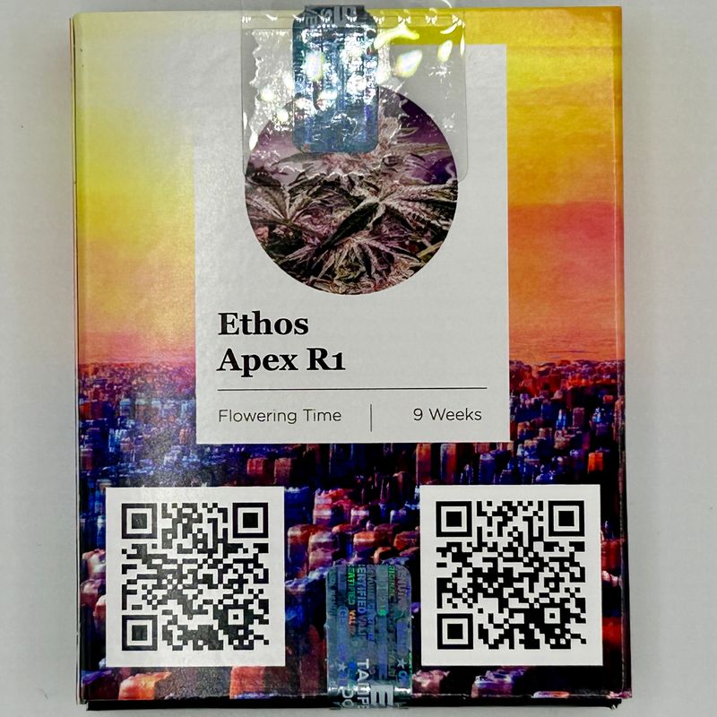 ETHOS APEX R1/ LILAC DIESEL #10 x MANDARIN COOKIES
