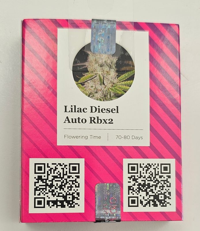 Ethos Lilac Diesel Rbx2 Auto (F,SD) 3 Pack