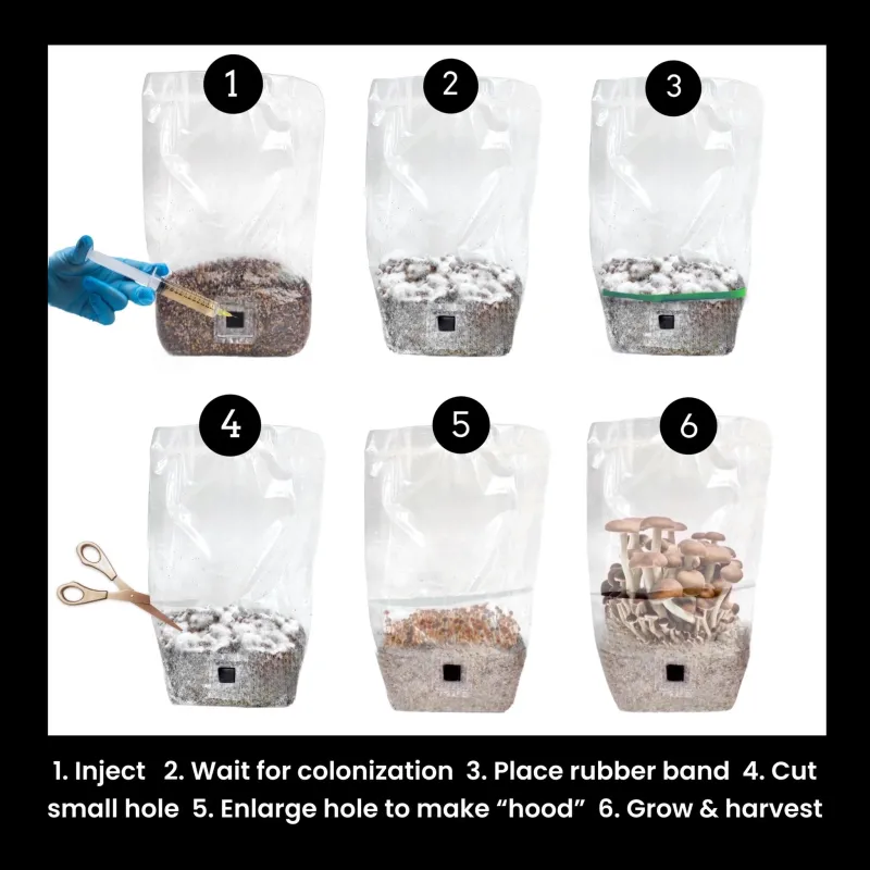 North Spore Shroomtek Inject &amp; Grow All-In-One Bag