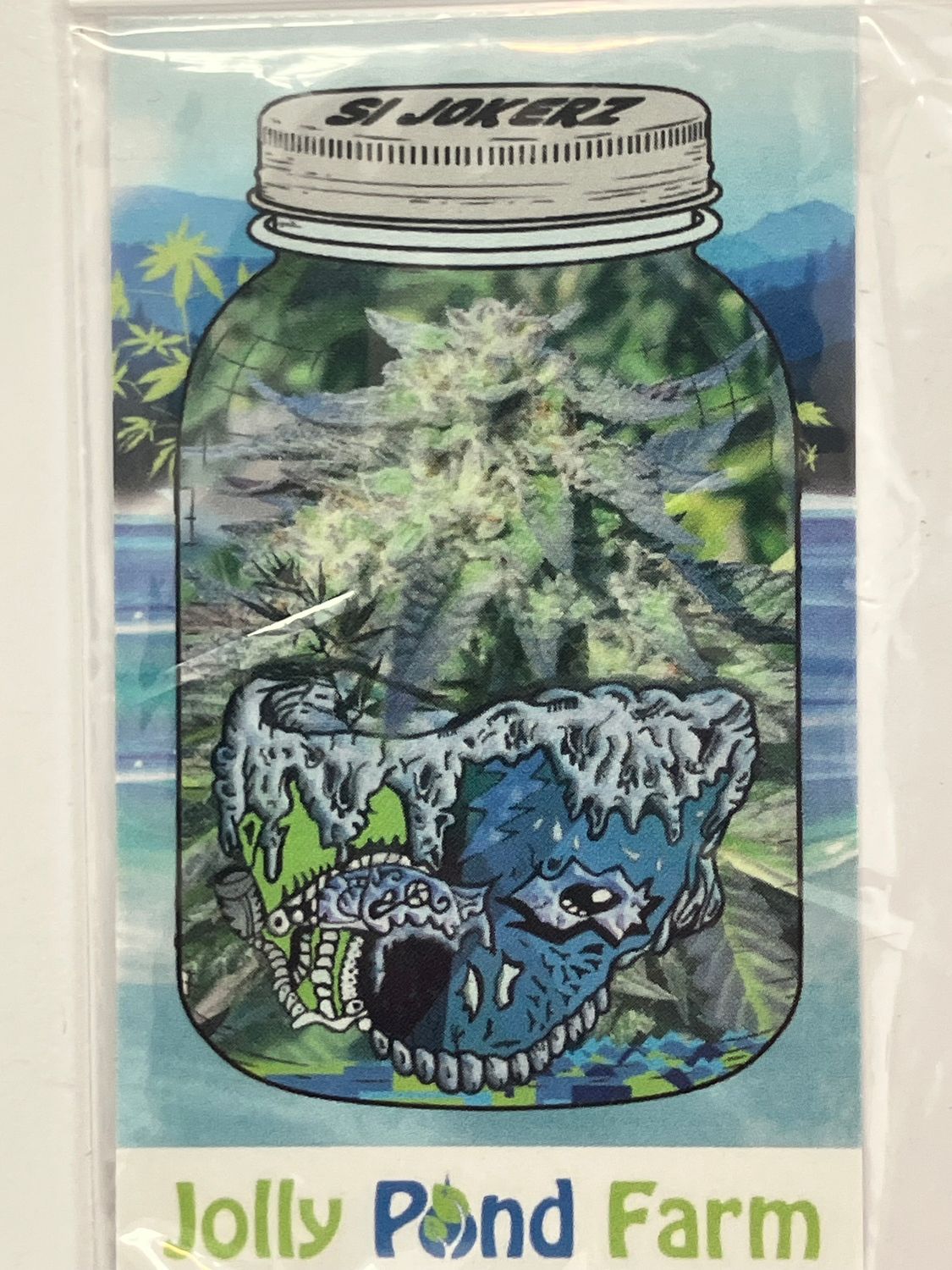 S1 Jokerz (White Runtz X Jet Fuel Gelato) compound genetics - 3 Feminized Photoperiod Seeds