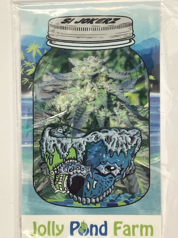 S1 Jokerz (White Runtz X Jet Fuel Gelato) compound genetics - 3 Feminized Photoperiod Seeds