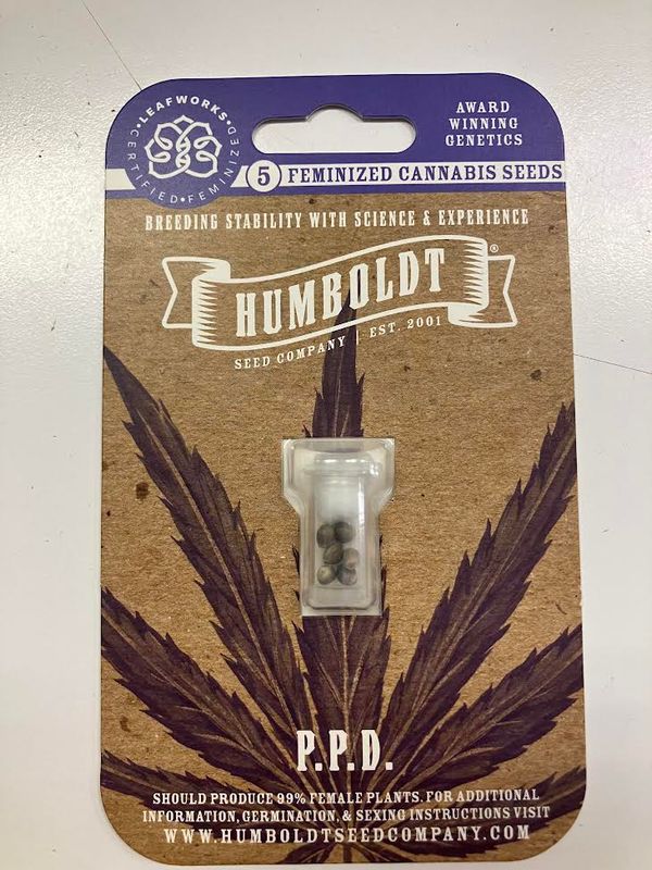 HSC P.P.D. (F) 5 Pack