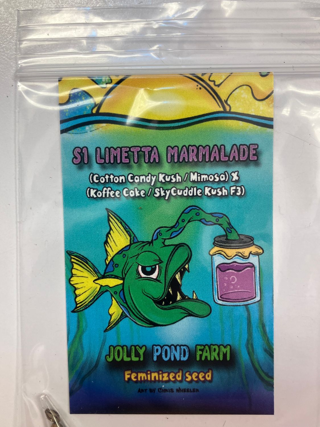 S1 Limetta Marmalade (Cotton Candy Kush/Mimosa x Koffee Cake/SkyCuddle Kush F3) 3 Feminized Photoperiod Seeds