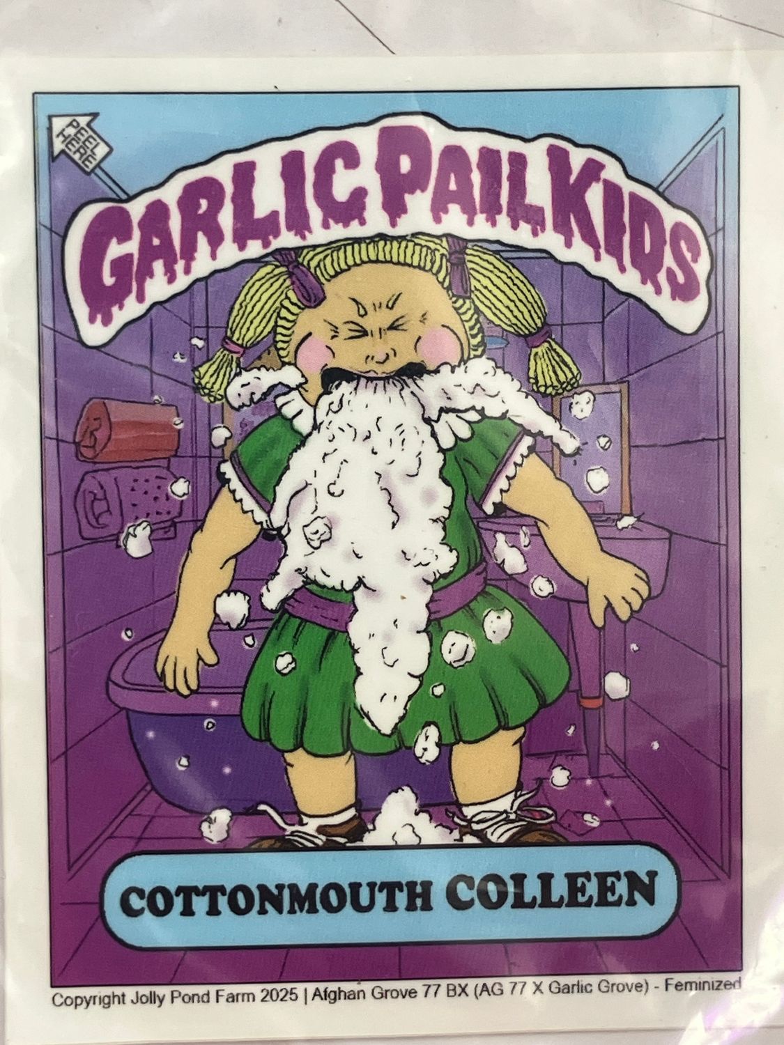 Cottonmouth Colleen (Afghan Grove 77 x Garlic Grove) 3 Feminized Photoperiod Seeds