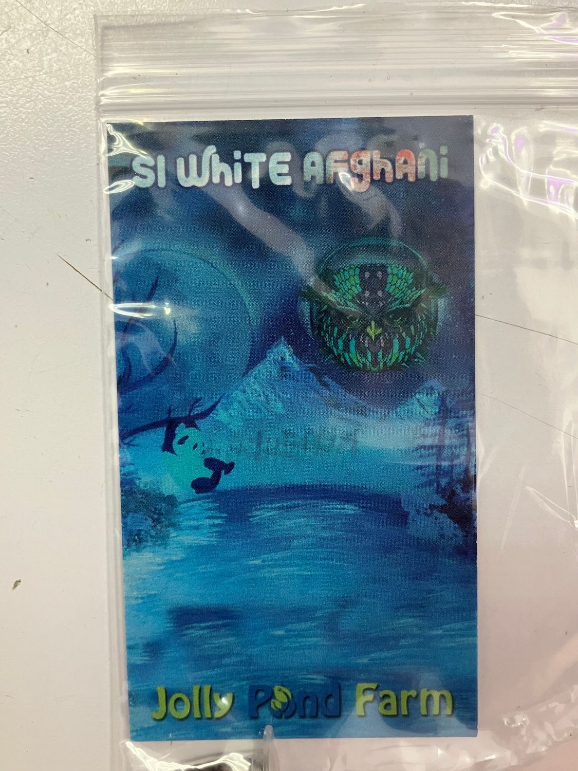 S1 White Afghani ([The White x OMG] x [Blackberry OG / Royal Kush #7]) 3 Feminized Photoperiod Seeds