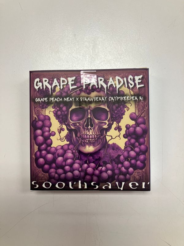 Soothsayer Seeds - Grape Paradise - Store Exclusive Strain
