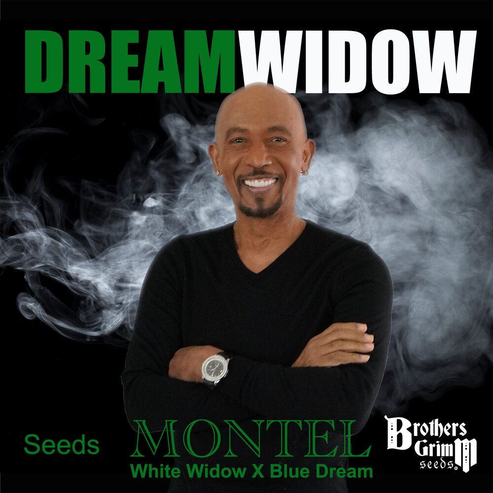 Brother's Grimm Seeds -Montel’s Dream Widow Fem Photoperiod - 9 pack