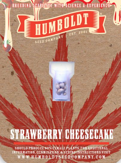HSC 5pk Strawberry Cheesecake Photoperiod