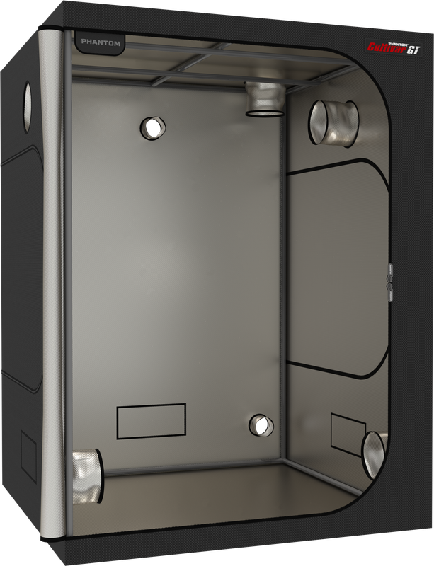 PHANTOM Cultivar GT84, 8X4 Grow Tent