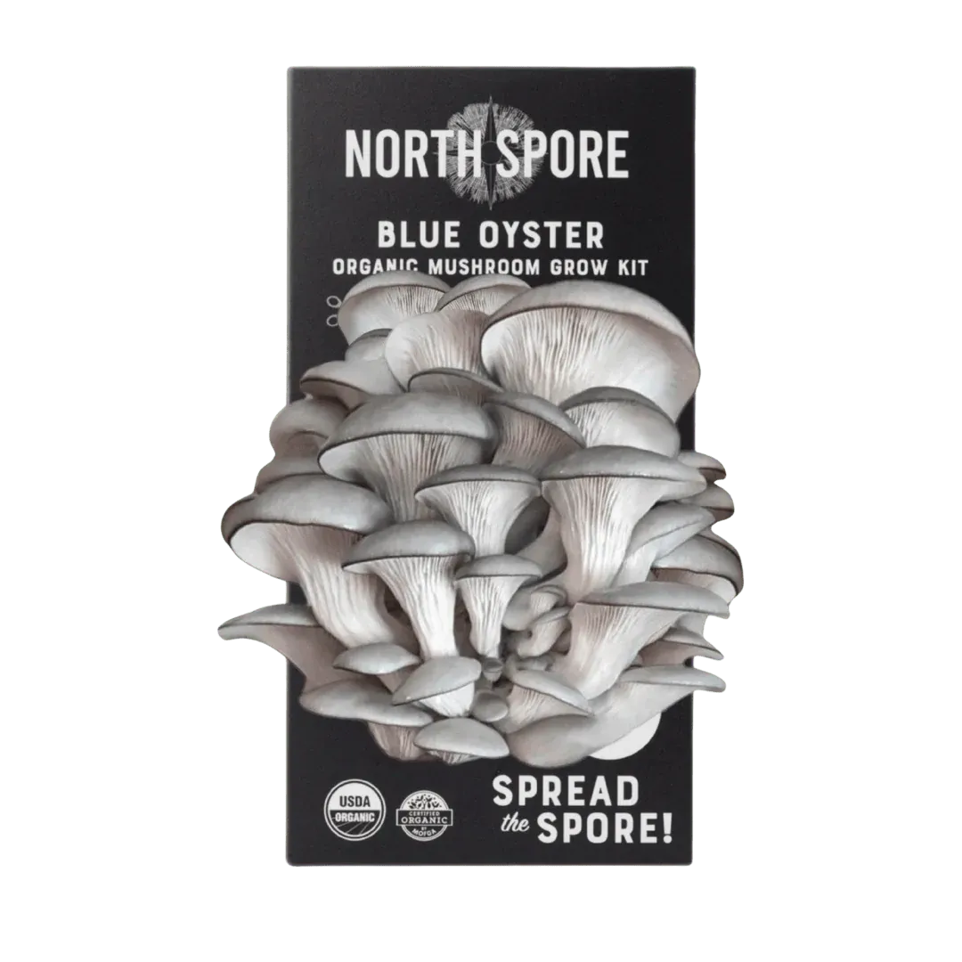 Organic Blue Oyster ‘Spray &amp; Grow’ Mushroom Growing Kit